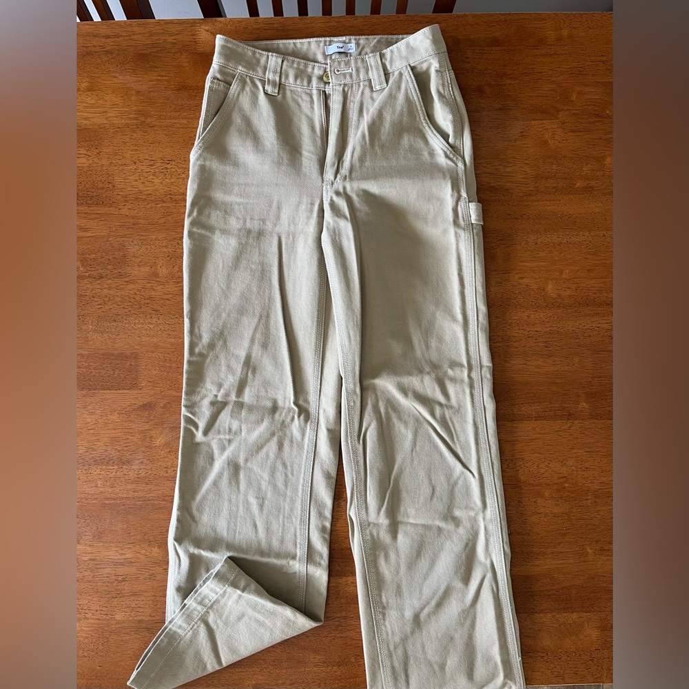 Tna Aritzia carpenter pants